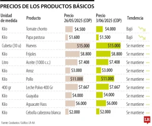 INFORME CORABASTOS